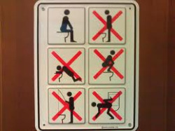  Some people need clear instructions on how to use the toilet correctly! 