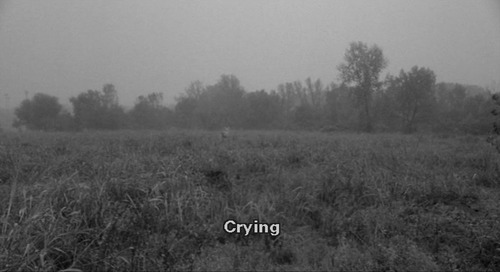  all the time. 