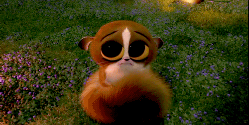 This is how i’m feeling right meow.