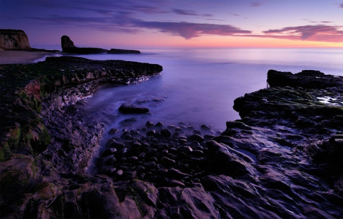 llbwwb:  Purple Rain (via Jim Patterson Photography | Smashing Picture)