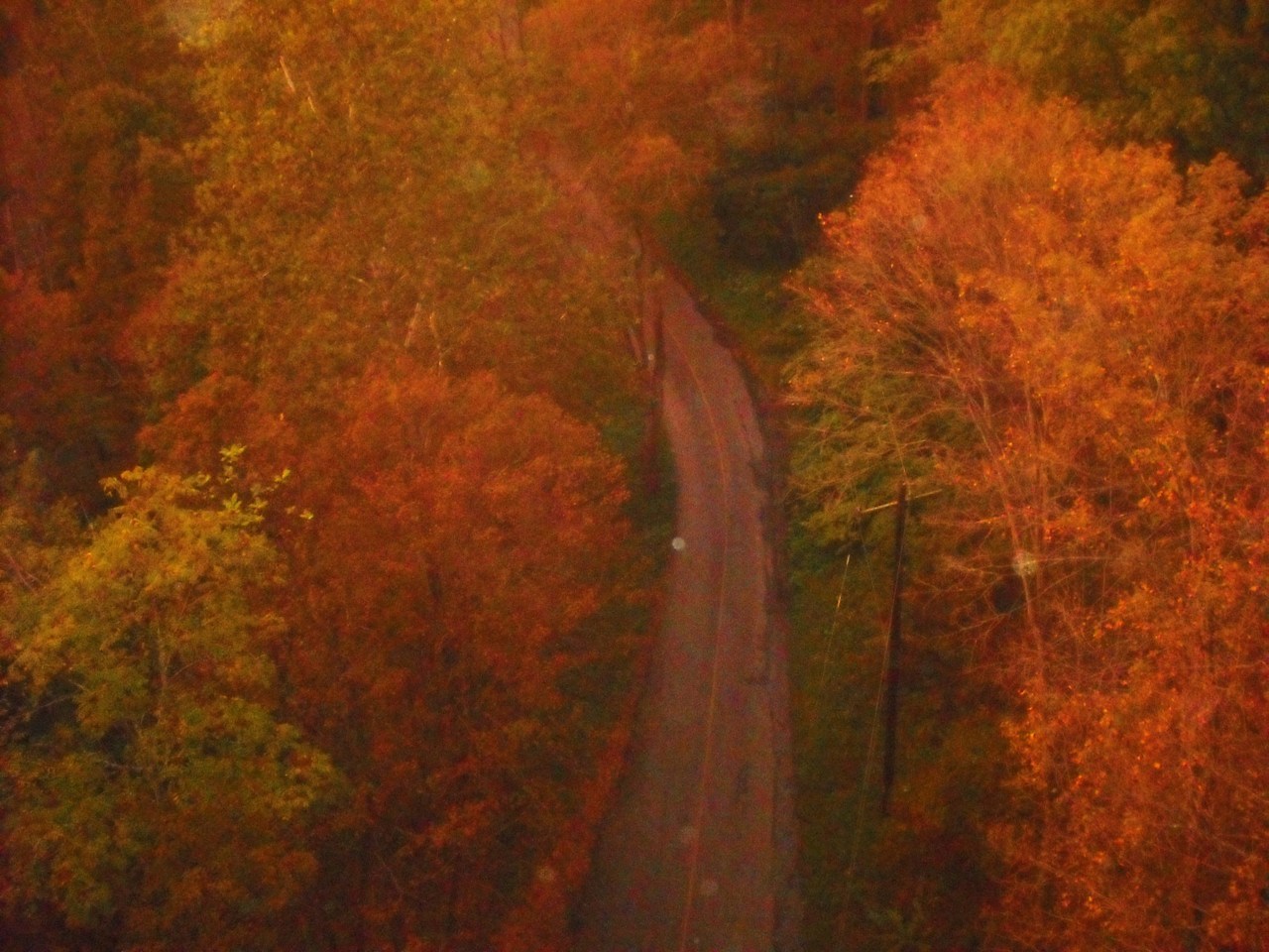 fall is here!