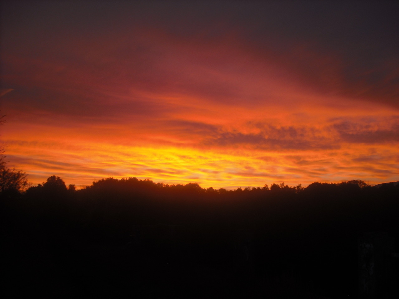 just want to see sky burn