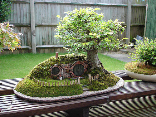 fabledfox:  Most amazing bonsai tree ever. 