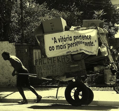 Política Voz