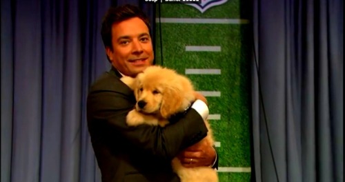 addictioninthestereo:Jimmy Fallon is holding a puppy. Your argument is invalid.