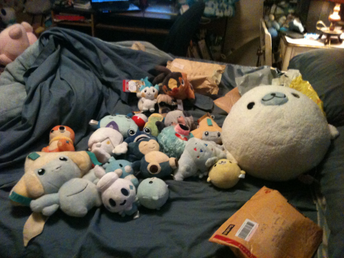 All of my new buddies