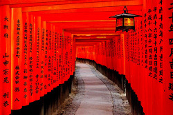 migas:  Fushimi Inari taisha, Kyoto, Japan / Japón (by Lost in Japan, by Miguel Michán) 