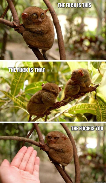 immafuckinunicorn:  ‘the fuck is you’ = my new line for lyfe OH MY GOD. KATHERINE, OHMYGOD. 