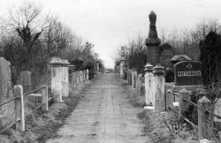 ominousplaces:  Bayside Cemetery. By Genial23. 