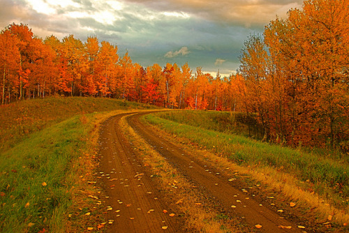 agoodthinghappened: Exploring a Country Road by dorothy mae on Flickr.