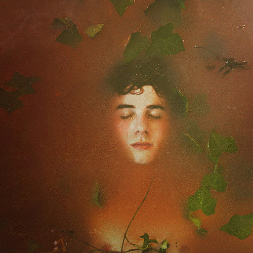 cordisre:  Animals (di Nicholas Max Scarpinato) 