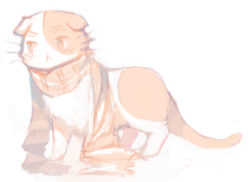 moedere:  some cute nekotalia in a scarf