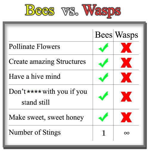 funny-pictures-uk:  Bees vs Wasps  porn pictures