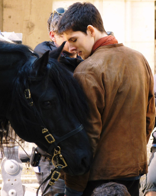 mizufae:inspector-snuggles:emrysdragonlord:Bradley James loves his horse. Colin Morgan’s horse loves