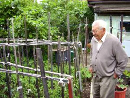 doctorsay10:   An old Italian gentleman lived alone in New  Jersey .  He wanted to plant his annual tomato garden, but it was very difficult work, as the ground was hard.  His only son, Vincent, who used to help him, was in prison. The old man wrote