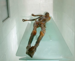 blvckgrl:  2-shane-s:  theoverworld:  Helmut Simon, The Man Who Found the 5,000 Year Old Corpse “Ötzi the Iceman” Was Also Found Dead Frozen in Ice in 2004.  YEET  ^^^^^^^^