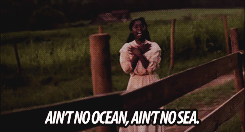 wayblackwhen:  Makidada | The Color Purple(1985) 