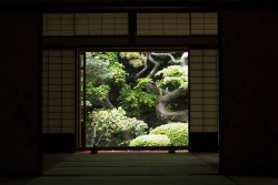 ileftmyheartintokyo:  110430_125649_横浜_三渓園