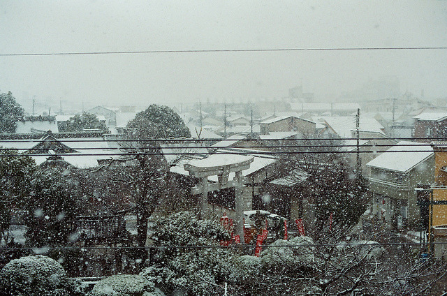 ileftmyheartintokyo:
“ 天佑日本 by 徐 則 on Flickr.
”