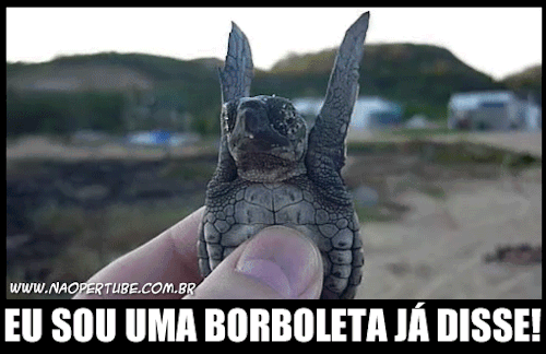 Vamos combinar
