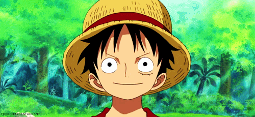 theshittyrestaurant:  “The pirate, Straw Hat Luffy will be on hiatus for a while” 