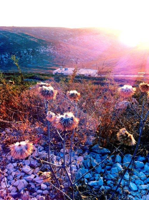 nablus