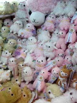 valiantskipper:  Alpaca UFO Catcher 