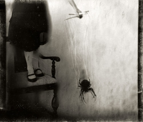 foxesinbreeches:  Untitled # 35 by Kristamas Klousch, 2008 
