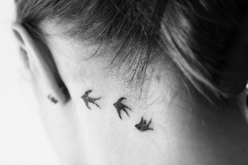 young, wild & free