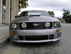 car-spotting:  The Target: Roush Performance 2006