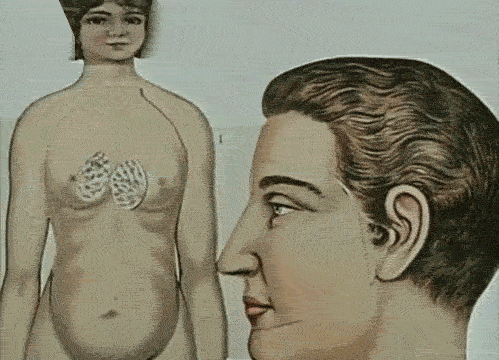 serial killer fetish