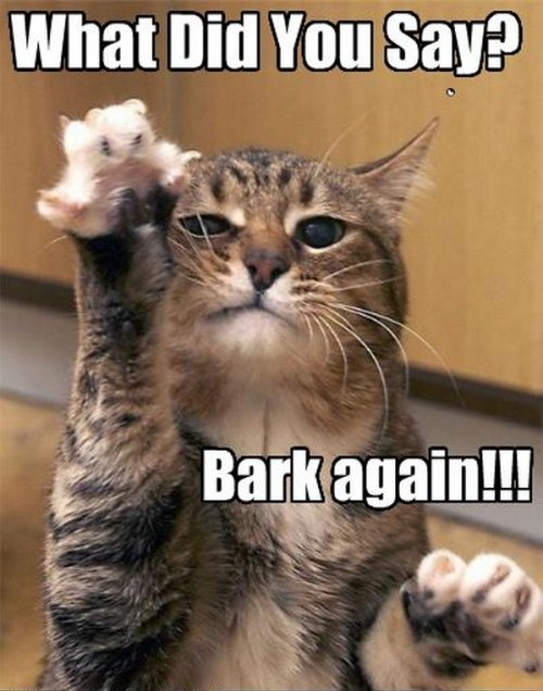Bark again!!!