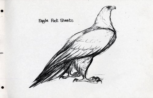 animationart:Eagle Notes-Glen Keane