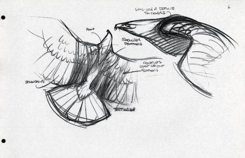 animationart:Eagle Notes-Glen Keane