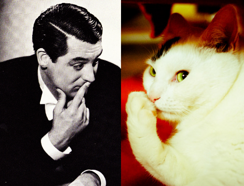 e-pic:  #Catry Grant 