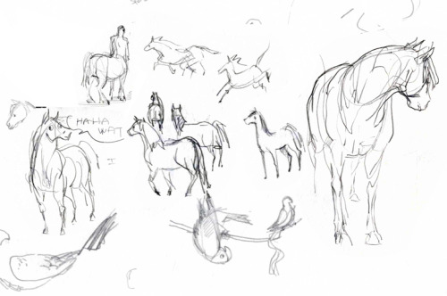 zerachin: collection of horse doodles during production/story development meetings and another teddy