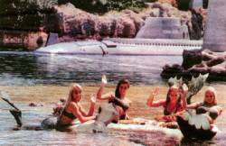 tayloraffair:  mapping0blivion:   In the years 1965 - 1967, Disneyland employed women dressed as mermaids to inhabit the lagoon for the Submarine Voyage ride. If you were lucky, you could glimpse them swimming through the portholes of the submarine as