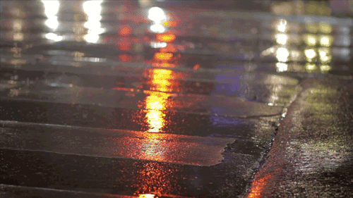  There’s something about the way the street looks when it’s just rained. 