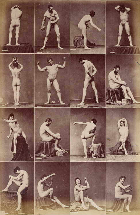 sugarmeows:Nude Studies (albumen, 1875–80) – Louis Jean Baptiste Igout (French, 1837–81) Printed b