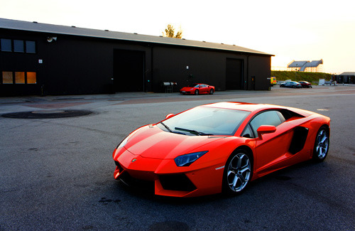 AutoMotivated.