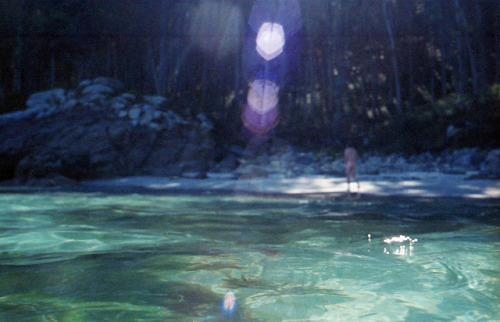 black-caviar:seasidekids:moondollar:wildcove:beautifulholy shitthe lens flare in the top looks like 