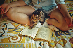 photojojo:  Now this is our kind of cat. (by ElifKalkan) 