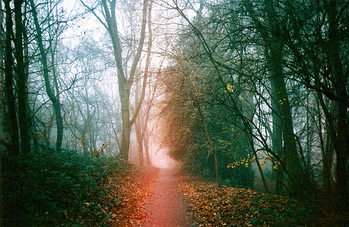 amarefeles.tumblr.com/post/29149776183/
