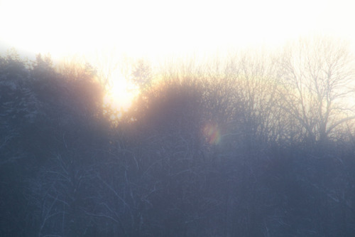 Morning blur By: Mia Rendum