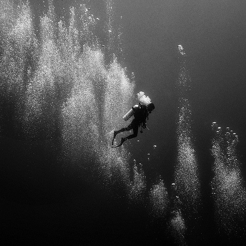 pulmonaire:  Descend (by Hengki Koentjoro)