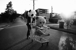 myloveisimmense-blog:  As pequenas coisas são as mais importantes, e também vão ser aquelas jamais esquecidas. (∞) 