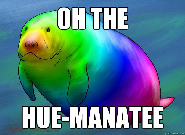 the-absolute-funniest-posts:  Follow this blog, you will love it on your dashboard