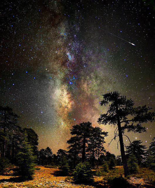 magicalnaturetour:  Deep space, deep in the forest by CostaDinos on Flickr. 