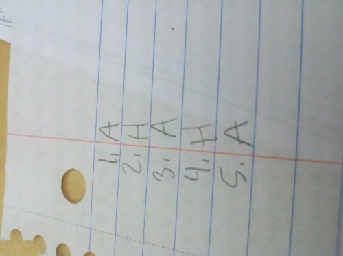 sexuallyactivepuppies:  my FCAT practice test is laughing at me. 