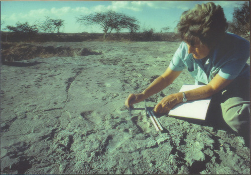 rustyoatmeal: I think I might be a little in love with Mary Leakey.  To wit: “[Her mother